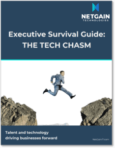 image-executive-survival-guide-tech-chasm