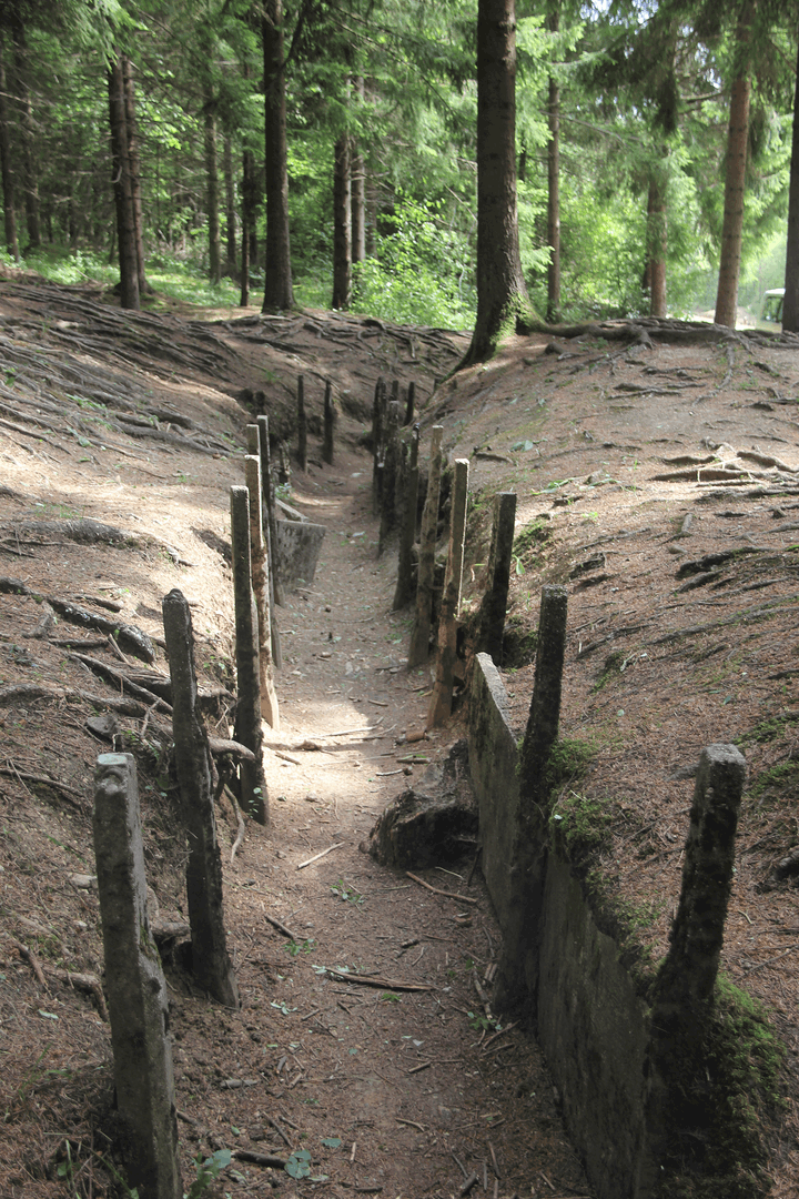life in the trenches a cautionary tale of leadership netgain